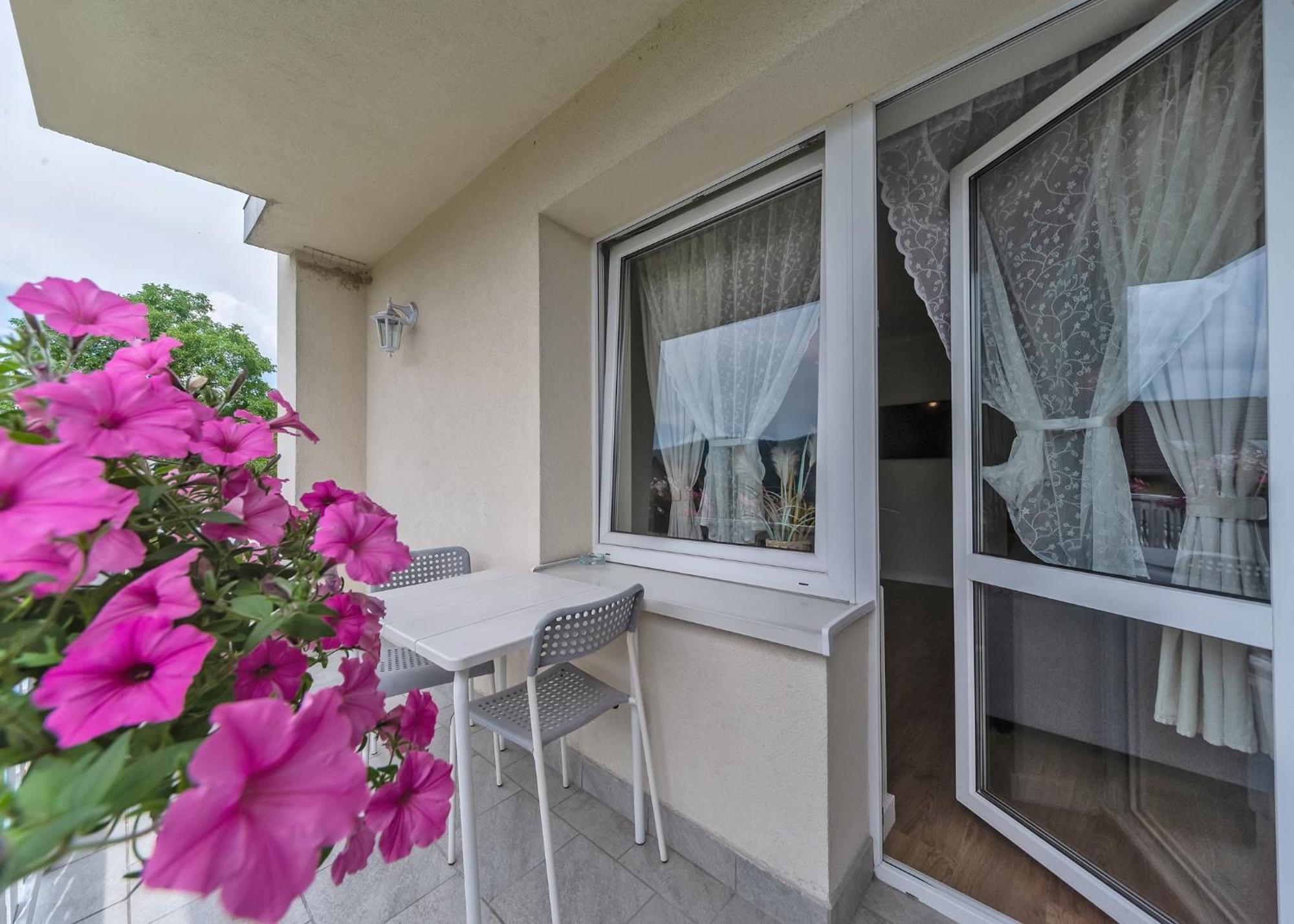 Willa Aleksandra - Apartamenty Мендзыбродзе-Живецке Экстерьер фото